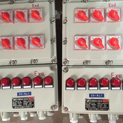 BXM(D)-4回路帶總開(kāi)關(guān)防爆配電箱 安全高效的工業(yè)電控解決方案